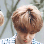 [EXO] 왜케 강아지 같애