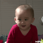 아__ 조카무서운 언니들 페북탐라간거에