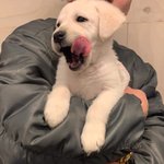 [<b>재업</b>미안해] 짝남이 왜 고백 씹었을까 알려죠라ㅜㅜ