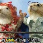 [방탄소년단] 조만간 좋은<b>소식</b>이 있을거예요