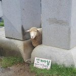 컨버스 <b>종류</b>별로 갖고있는 애들아 너네 뭐 신니