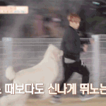 [<b>아이콘</b>] <b>아이콘</b> 일코? 사진 줭