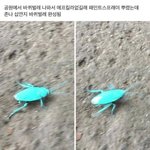 올림픽 때 판 개재미있었었는데