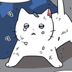 [댓글부탁해] 예비고1인데 수학이 진짜 어려워미치겠어