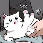 아 진짜 키작고 <b>왜소</b>한 애들 개부럽다