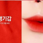 틴트 추반 좀