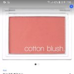 <b>미샤</b> 블러셔 추반 좀