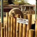 [댓글부탁해] 이거 <b>고전</b>짤이긴 한데 너무 웃겨 흐헿