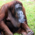 [드루와] 나 <b>미간</b> 너무 넓지 ㅠㅠㅠ