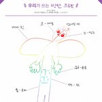 [방탄소년단] 방탄이 직접뽑은 각 멤버의 외모장점