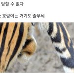 [EXO] ⬇️<b>영양가</b> 없는글임 밑에글을 보셈⬇️