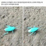 [댓글부탁해] 래퍼중에 왜빠는지 <b>머</b><b>르</b>겠는애