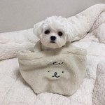 [댓글부탁해] 설레는 <b>문장</b>이나 글귀좀