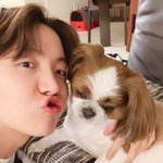 [방탄소년단] 애기들얼굴 너무이뻐