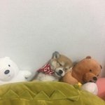 [댓글부탁해] 나 진짜 병 있는 건가 도와줘