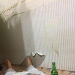 일베충 <b>막장인생</b>(사진)
