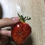 [댓글부탁해] 이거봐 탕후루루<b>룰룰</b>ㄹ