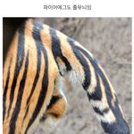 [조언부탁해] 고등학교 <b>긱사</b> 들어가는데 뭐 챙겨야댐