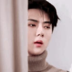 [EXO] 너네는 이해할 수 있지