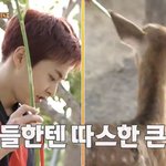 [EXO] 민서기 <b>사스</b>미한테도 스윗하네. 왜 우냬 ㅋㅋㅋㅋ