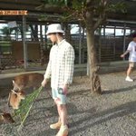 [EXO] 준면이 우두커니 <b>서서</b> 풀 주고 있는거 뭔데 귀엽냐