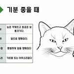 뭔가 옛날 유럽의 코르셋보다 지금이 더 <b>끔찍</b>한듯