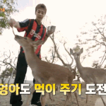[EXO] 시우민.....넘 스윗....오늘부터 아가<b>사슴</b>
