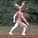 [EXO] 야 나랑 같이 사슴 분장할 사람 괌