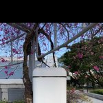 <b>볼링</b>치러 가본사람 ㅜㅜㅜ 와조라
