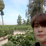 [NCT] 도영이 <b>dream</b> 부르는건가...?