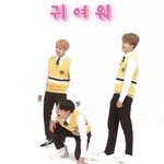 [방탄소년단] 애들 <b>특징</b>