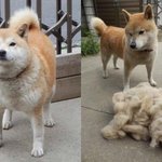 <b>외동</b>일것같단 말 듣는애 특징이 뭐야??
