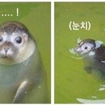남친이 내방귀소리 <b>녹음</b>함........