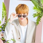 [강다니엘] 강다니엘 이런느낌 사진 좀 주세요