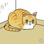 [드루와] 부모님한테 물려받은 것 말하고 가자