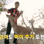 [EXO] <b>사슴</b> 부럽다