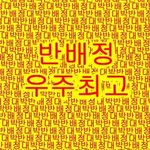 22일 반<b>배정</b>..