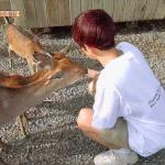 [EXO] <b>사슴</b>