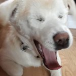 [조언부탁해] 고2 <b>주짓수</b> 배우는거 어때?