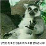 [댓글부탁해] 얘들아 이거 사실대로 말해야되나?ㅠㅠㅠㅠ
