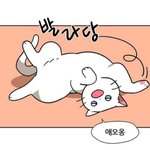 [드루와] 눈화장 클렌징 할때