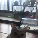 [댓글부탁해] 나 <b>거실</b>에서 밥먹고 있는데 ㅌㅋㅋㅋ