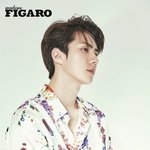 [EXO] 난 아직도 오세훈한테 나라 하나 없다는게 이해가 <b>안</b><b>가</b>