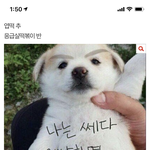 응급실 떡볶이 먹으란 새끼들 나와봐