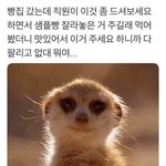 [드루와] 방금 버드박스 봤는데