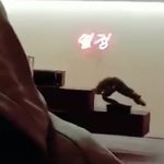 [방탄소년단] 근데 이거 너무 시강이였음ㅋㅋㅋㅋㅋ