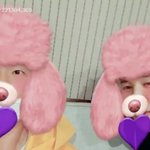 [방탄소년단] 핑크푸들 <b>입양</b> 하고파 ㅋㅋㅋ