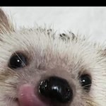 [댓글부탁해] <b>alone</b>