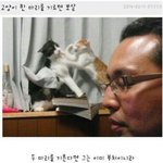 [방탄소년단] 어제자 뿌앱 상황짤