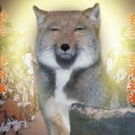 [드루와] 나도 이 친구한테 다가가도 될까?
